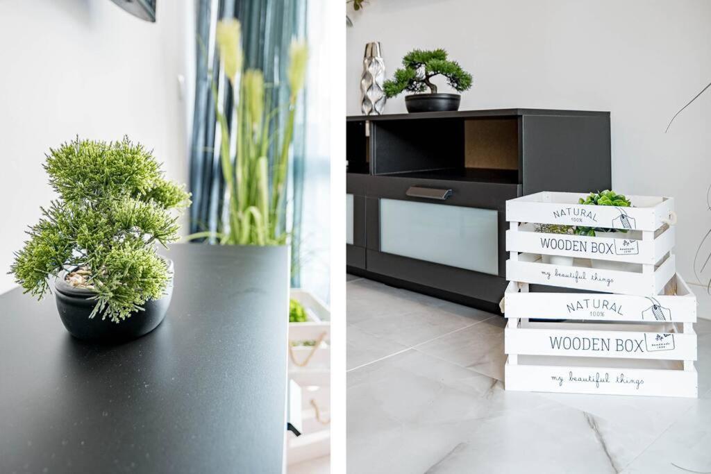 Elfaro Appartement *